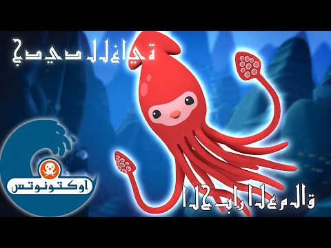 أوكتونوتس الحبار العملاق السلسلة 1 الحلقة 6 كاملة