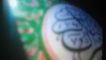 اجمل تلاوة عراقية من مقام عراقي غريب مبكي من صوت الشيخ عبد الرزاق الدليمي سورة هود (18)رقم الآية الى