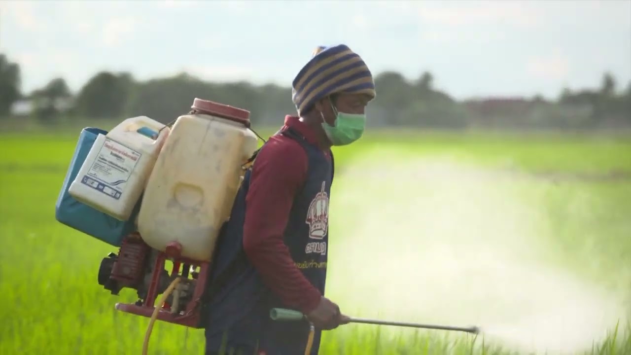 Thailand Workers Return to Israel Despite Risks