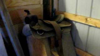 Dont Buy This Brand Of Saddle