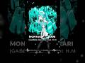 MONTAGEM HIKARI (Gabba Remix) - feat 初音ミク