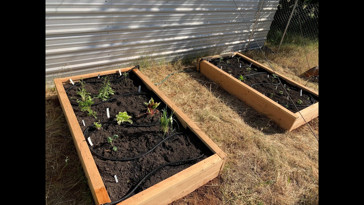 Making Raised Beds for Home Garden - May 2020 - YouTube