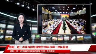 顾刚：进一步坚持和加强党的领导 步调一致向前进