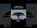 WHY DO BIRDS DONT SHOCKED ON ELECTRIC ⚡ POWER LINES #electrical #electricworks #powerlines h