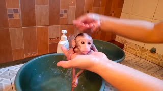 Bathing Baby Monkey Aunt To Clean