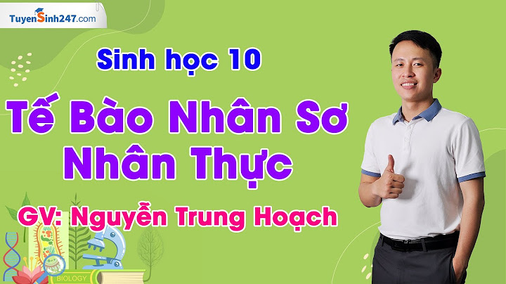 So sánh thành tế bào g+ và g năm 2024