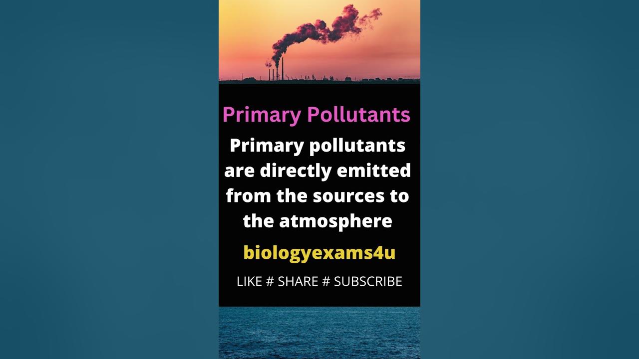 Primary Pollutants Vs Secondary Pollutants Environmental Science YouTube