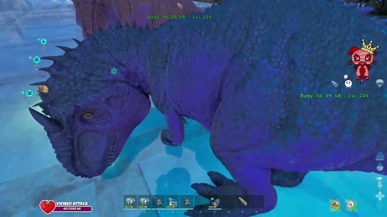 25.12.2025 🧶Merry Christian 🎀 !tiktok