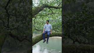 Tree man clambing in tree of branch