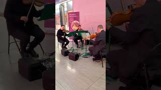 Trio Fadolin, a new ensemble with a unique sonority