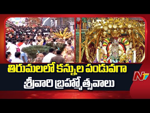 Tirumala: తిరుమలలో కన్నుల పండువగా శ్రీవారి బ్రహ్మోత్సవాలు | NTV Telugu - NTVTELUGU