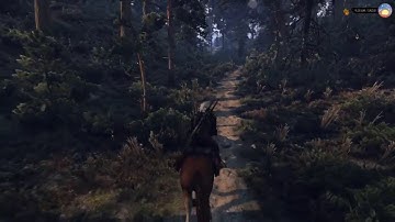 Witcher 3 - ALM (Atmospheric Lighting Mod) Gameplay. Not Landscape Shots. Moon Man Best Modder