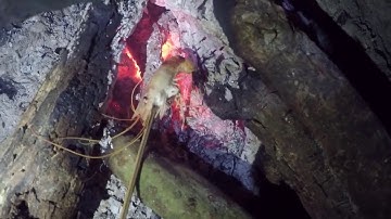 Primitive Technology: Freshwater Prawn Trap