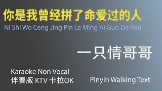 你是我曾经拼了命爱过的人 Ni Shi Wo Ceng Jing Pin Le Ming Ai Guo De Ren - Karaoke Non Vocal Male - 伴奏版 - Pinyin