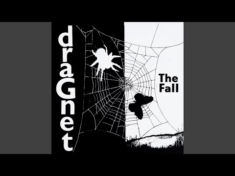 The Fall — Put Away