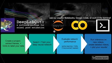 DeepLabCut Project Manager GUI: Tutorial