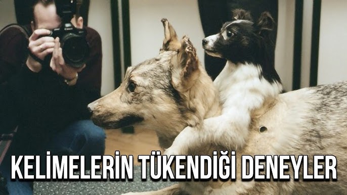 Mening kelinim onanizm qiladi Sizni koz yoshlari bilan sikish onlayn