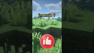 JAK DOBŘE ZNÁŠ STEJKA ?!! #shorts #minecraft #minecraft #cz #stejk #ment #gejmr #information