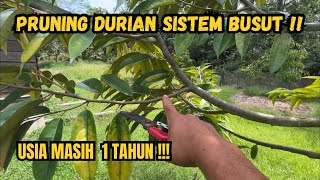 Download Lagu PPRUNING DURIAN SISTEM BUSUT ‼️ PRUNING KETIGA KALINYA ✅✅ MP3 Download Lagu PPRUNING DURIAN SISTEM BUSUT ‼️ PRUNING KETIGA KALINYA ✅✅ MP3