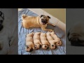 Pug puppies