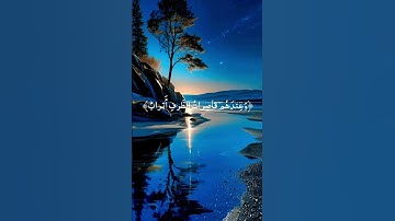 #القرآن_الكريم #المصحف #تلاوة_خاشعة #اكسبلور #duet #دويتو #راحة_نفسية #تيك_توك #لايك