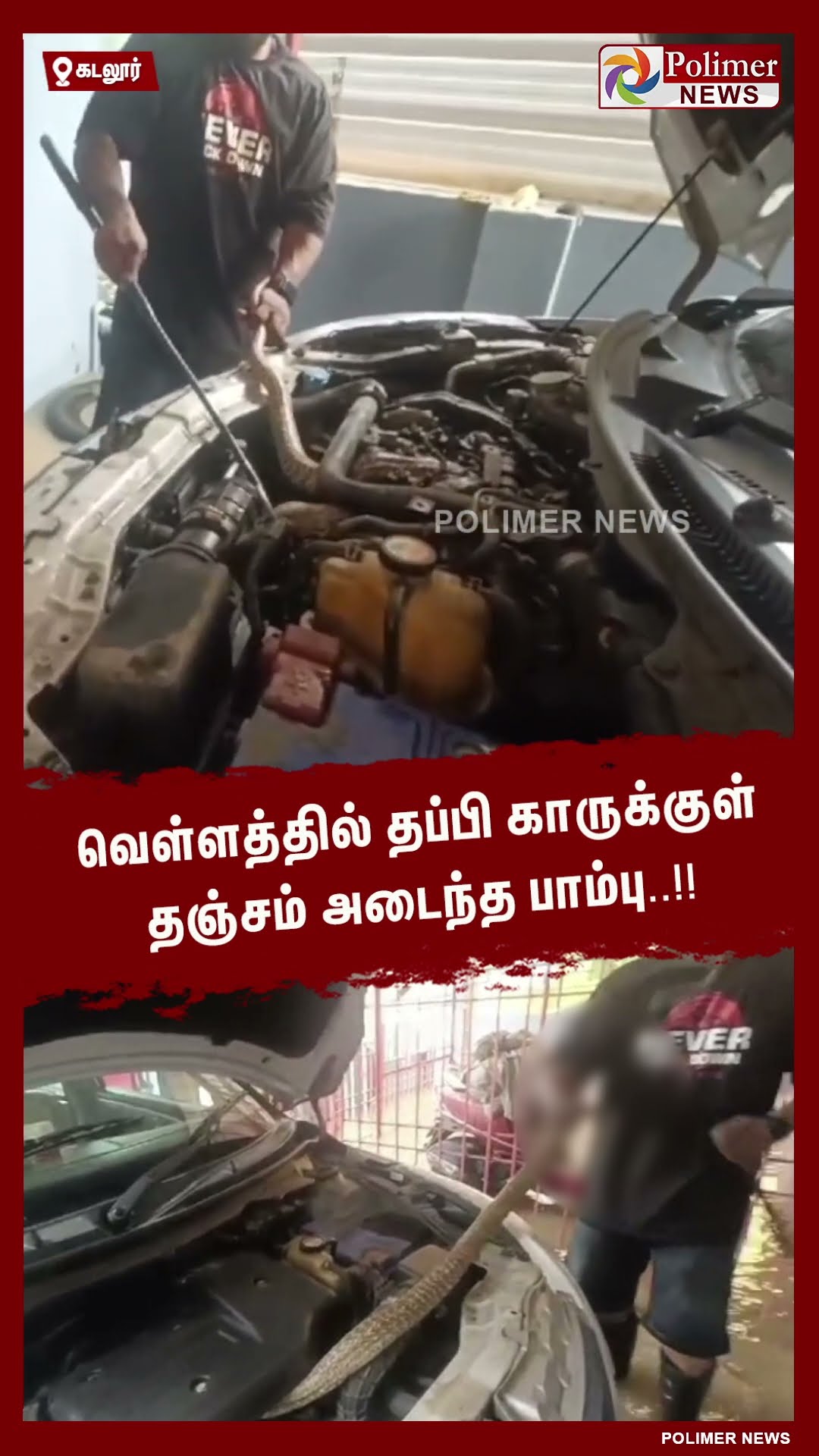 வெள்ளத்தில் தப்பி காருக்குள் தஞ்சம் அடைந்த பாம்பு..!!  #shorts
