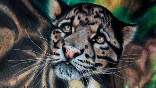 Рисунок цветными карандашами. Дымчатый леопард. Drawing colored pencil Рисунок цветными карандашами. Дымчатый леопард. Drawing colored pencil