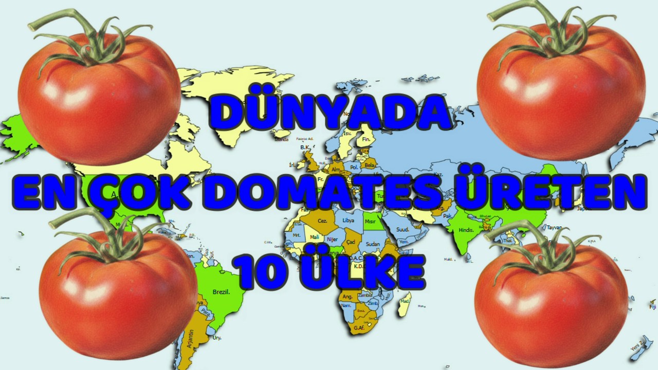 Dünyanın En Fazla Domates Üreten 10 Ülkesi! Türkiye, Listede Ön Sıralarda