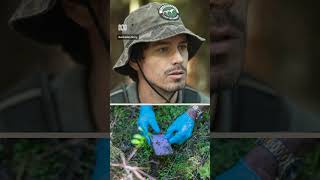 Mum thanks 'brave' volunteers that searched for her missing daughter | Australian Story