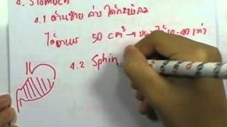 ormBio 061 : ระบบในร่างกาย1 ,ตอน02
