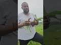 Inguduza Iyabiza EKapa Inguduza Iyabiza EKapa