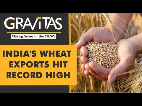 Gravitas: India's wheat