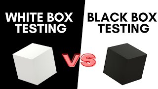 Software Engineer Interview question: What is the black box and white box testing