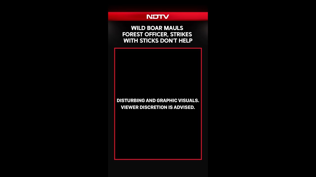 Uttar Pradesh News | Video: Wild Boar Mauls Forest Officer, Strikes With Sticks Don't Help