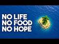 I Survived 100 Days on a Deserted Island...