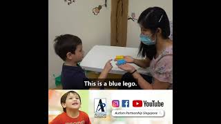 Language & Communication after ABA Therapy: Jamie's WIP