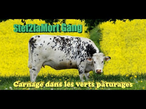 Miniature de la vidéo