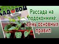 РАССАДА НА ПОДОКОННИКЕ: семь основных правил