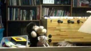 Friggle Monkey 1; owowowowow