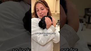 Do You Think He Likes The Pad??Improvias Washable Under Pads Are Perfect For Pets, Kids, And Adult