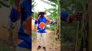 Ninshasha Mazima Comedy