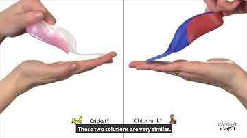 Product video | Cricket and Chipmunk