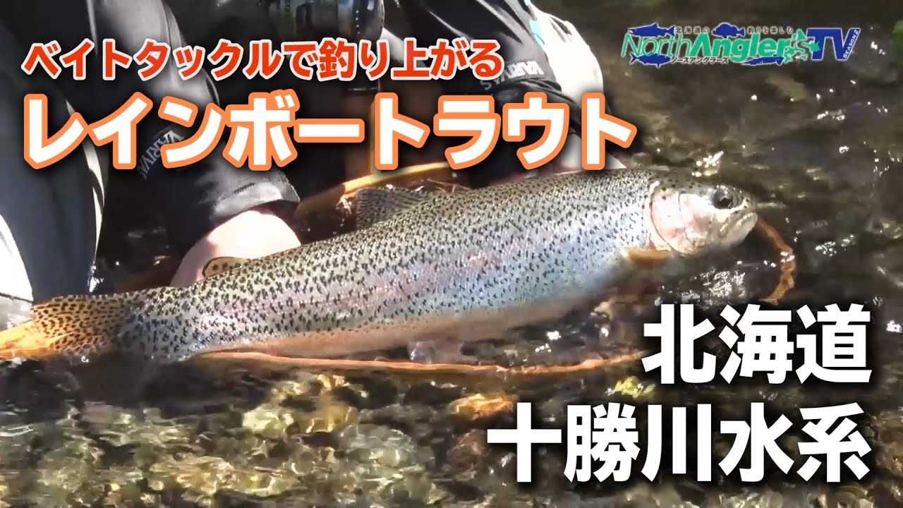 十勝川のニジマス ベイトタックルで釣り上がる Youtube 十勝川のニジマス ベイトタックルで釣り上がる Youtube