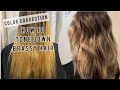 COLOR CORRECTION | Toning Down BRASSY Hair | Tips For FORMULATING