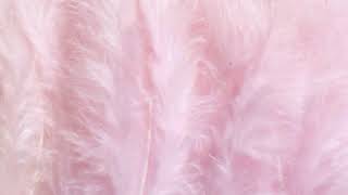 Download Lagu little cloud / ANGEL DIARY - jealous girlfriend MP3