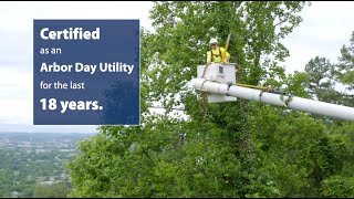 KUB Works for Environment & Customers Through Vegetation Management