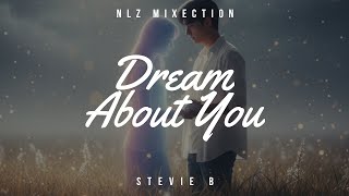 Dream About You stevie B  Nlz Mixection