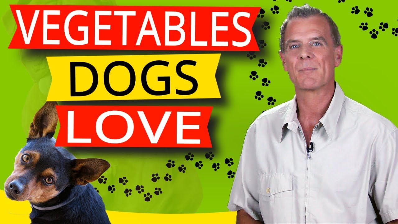 16 Vegetables Dogs Like To Eat (And 9 Reasons Why) YouTube