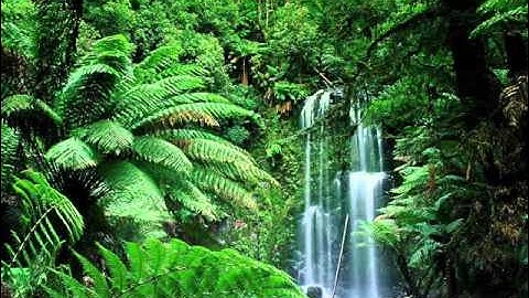 تلاوة بصوت القارىء محمد صلاح نافع ..