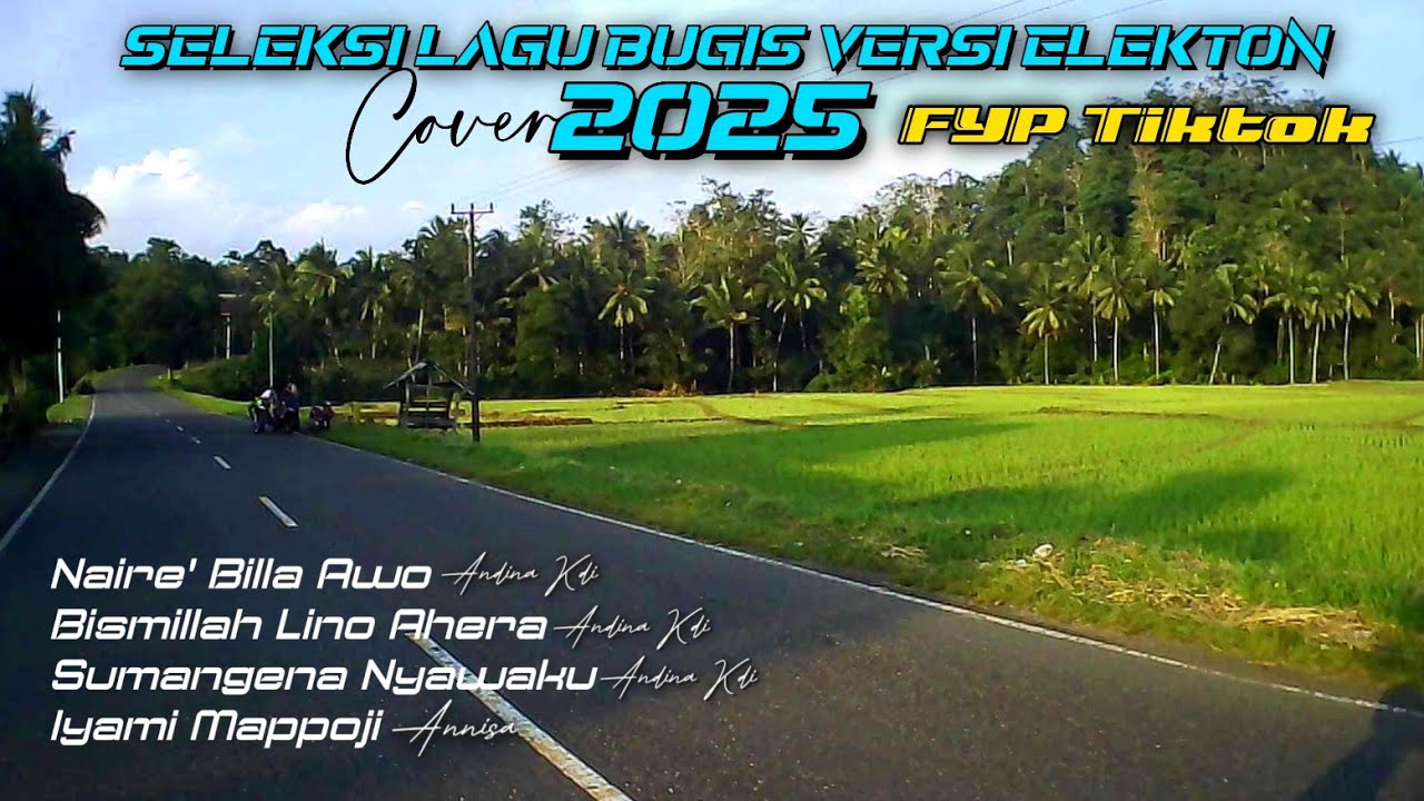 🔰🎼 SELEKSI LAGU BUGIS ELEKTON FYP TIKTOK 2025 || VIDEO PERJALANAN POROS LAPRI BONE🎼🔰